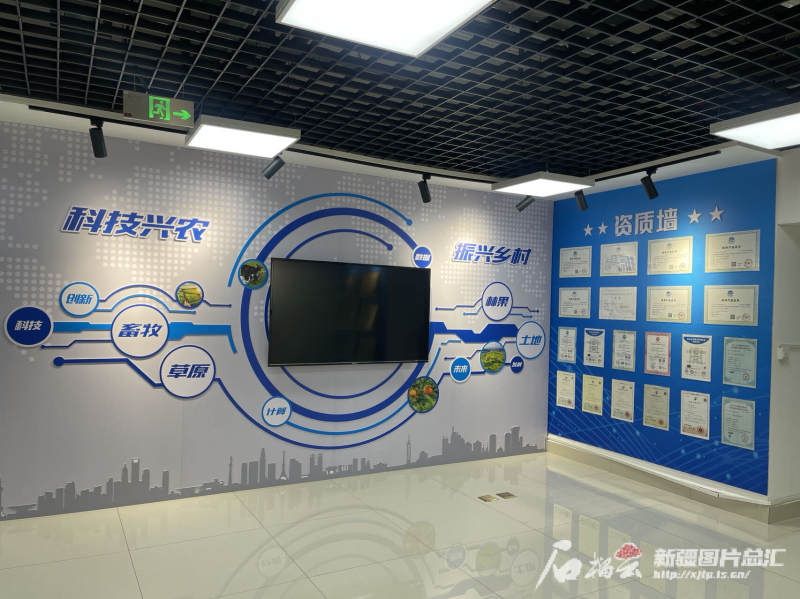 mmexport1706099227040